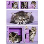 Puzzle 500 pièces Nathan Chatons mignons
