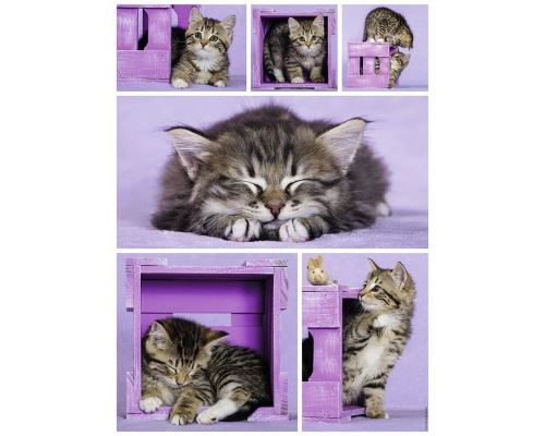 Puzzle 500 pièces Nathan Chatons mignons