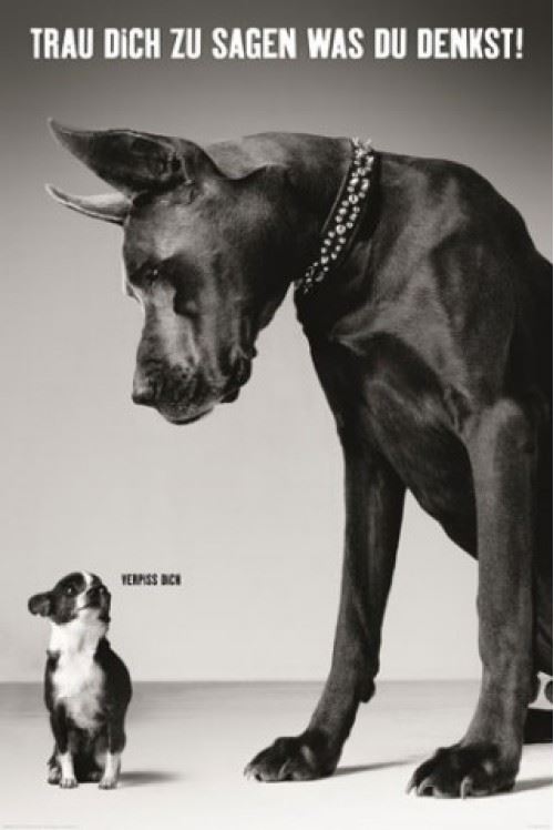 Chiens Poster - Chihuahua Et Dogue Allemand, Casse-Toi (91x61 cm)