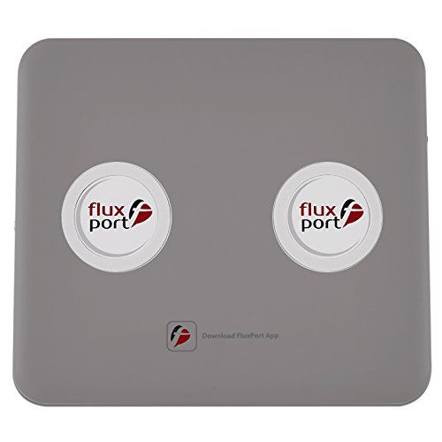 FluxPort fP-a-010 double batterie pour smartphone gris