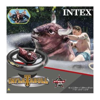 Flotteur Gonflable Pour Piscine Inflatabull 56280eu Alsa Equipements De Piscine Achat Prix Fnac