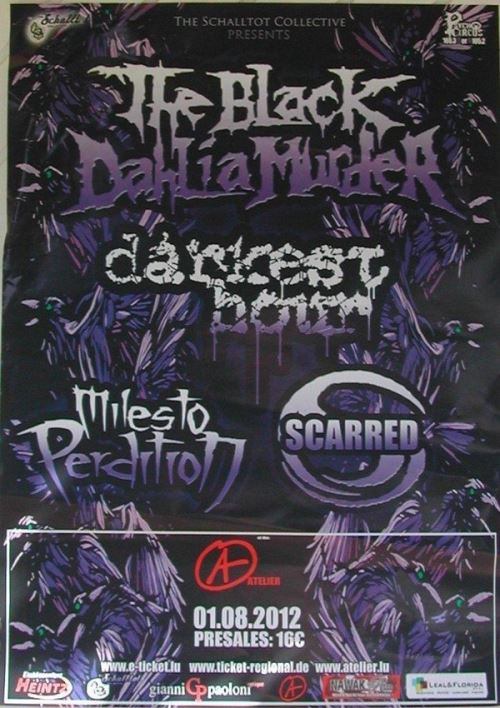 The Black Dalhia Murder - 60x88 cm - AFFICHE / POSTER