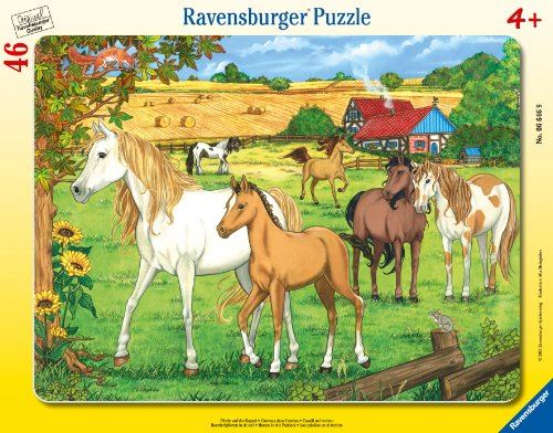 Puzzle cadre 30-48 pièces Ravensburger Chevaux dans l'enclos