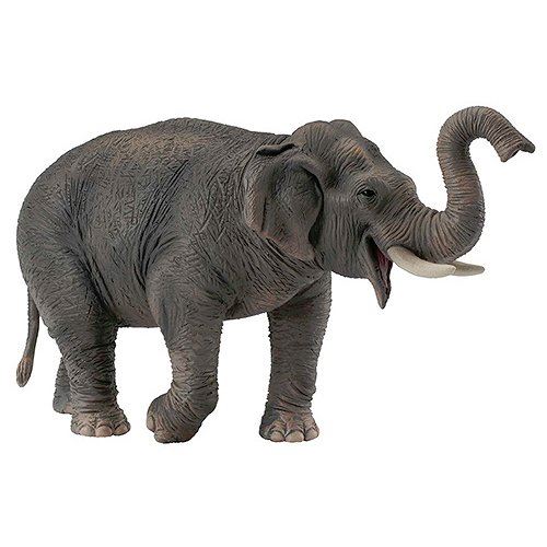Figurines Collecta - Eléphant d'Asie