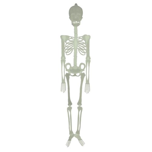 Squelette phosphorescent 1m50