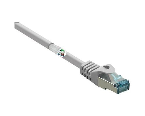 Basetech BT-2270607 RJ45 Câble réseau, câble patch CAT 6a S/FTP 20.00 m gris avec cliquet dencastrement, ignifuge