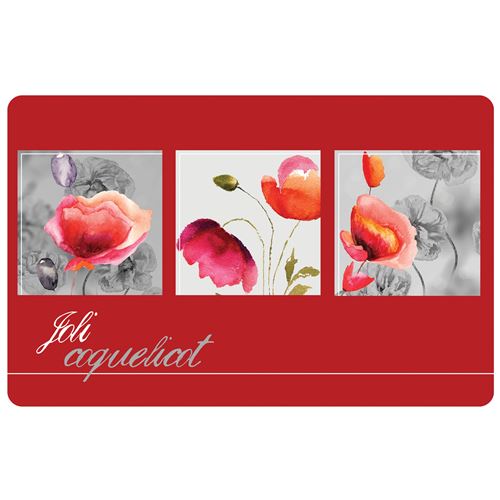 set de table 28.5 x 44 cm polypropylene opaque polly
