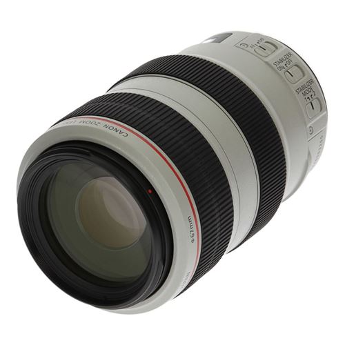 Canon Ef 70-300Mm 1:4-5.6 L Is Usm Noir Blanc