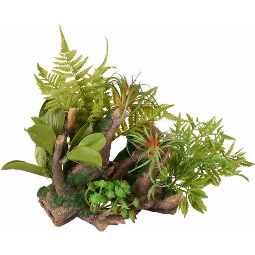 Racine et plante . 36 x 31 x 37 cm. décoration aquarium. - Flamingo Pet Products - FL-410185