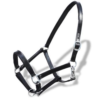 MAG Licol Licou en cuir réglable pour écurie Poney Marron 7686514638385