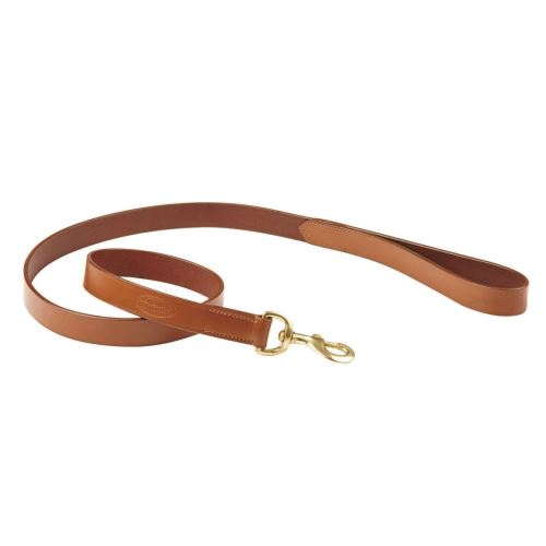 Meilleurs prix pour Weatherbeeta - Laisse pour chien (Taille unique) (Marron clair) - UTWB1259