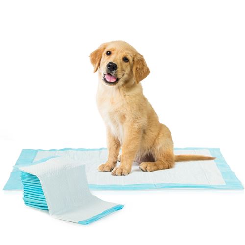 Lot de 100 tapis éducateurs pour chiens