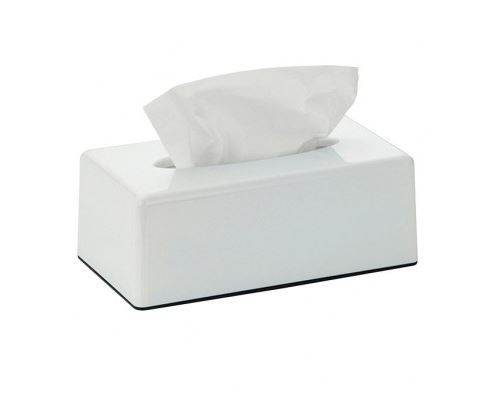 Boîte à Mouchoirs Rectangulaire en Plastique Blanc