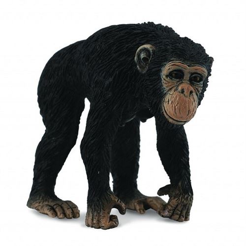 Figurines Collecta - Singe - Chimpanzé : Femelle