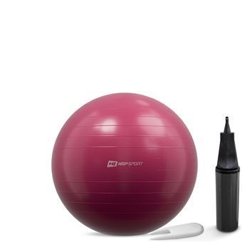 Pezziball Standard Ballon de gymnastique avec bol et pompe Anthracite 75 cm