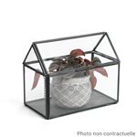MINI-SERRE EN VERRE