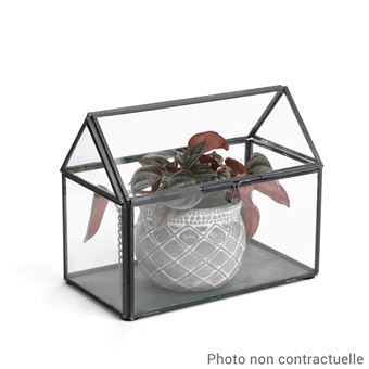 MINI-SERRE EN VERRE
