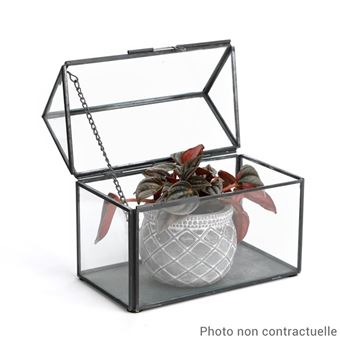 MINI-SERRE EN VERRE