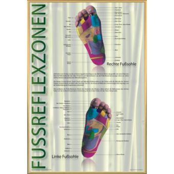 Reins et réflexologie : Découvrez cette zone réflexe et ses bienfaits