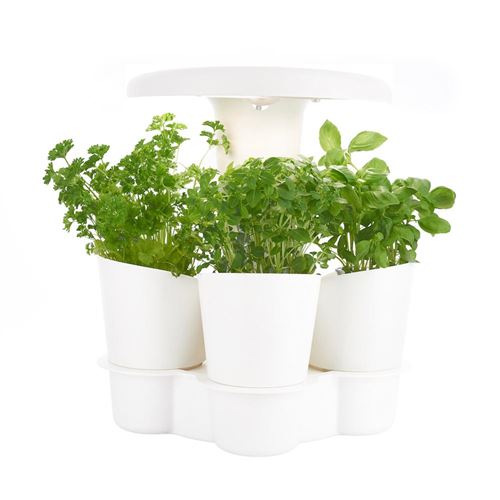 Faire Pousser Plantes Aromatiques à L Intérieur Potager D Interieur Intelligent Calla Pour Plantes Aromatiques Jardinieres Et Bacs Achat Prix Fnac