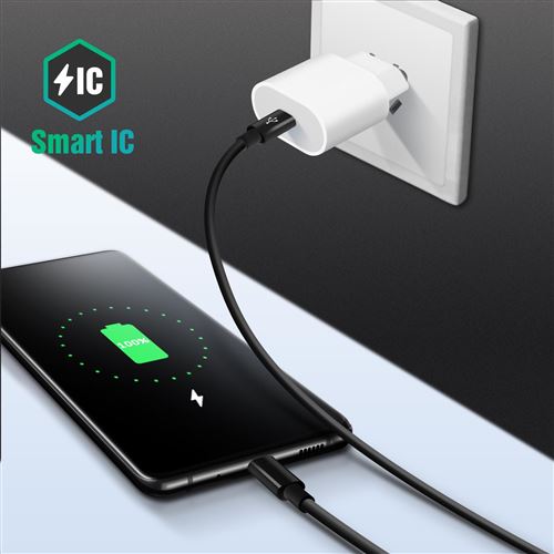 Chargeur Rapide 20W + Cable USB-C Lightning pour iPhone 13 / 12 / 11 / PRO  / MAX / MINI Little Boutik® - Chargeur pour téléphone mobile à la Fnac