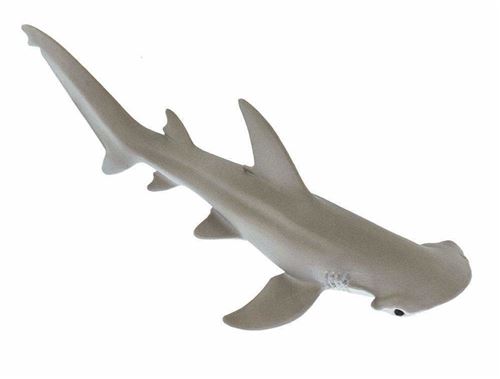 Safari créatures marines Requin Kaphamer junior 13,75 gris/blanc