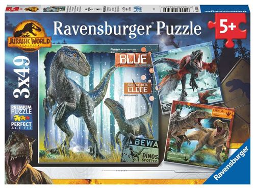 Puzzles T-rex et autres dinosaures 3x49 pieces