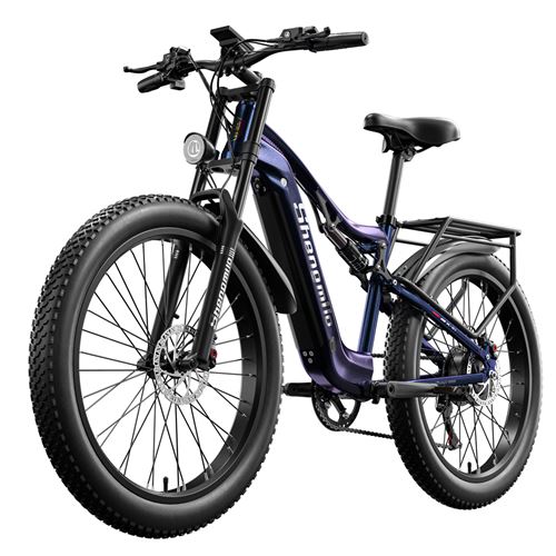 Vélo électrique E-bike Batterie Roue arrière Stand Ha074-03 48v 15ah 720w Batterie  Li-ion pour Nakxus Galaxy Xds