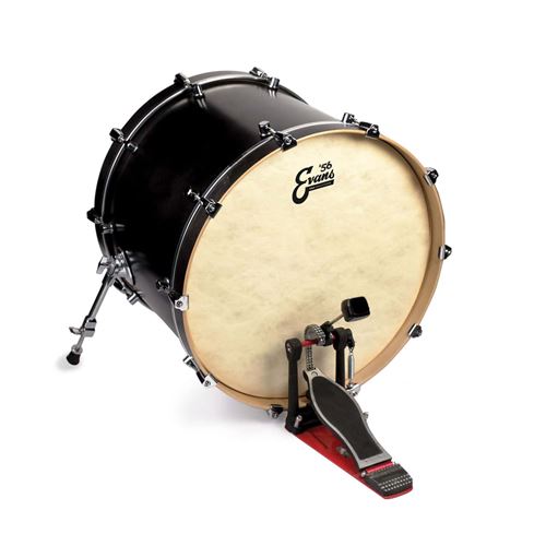 Evans BD22GB4CT - Peau de grosse caisse EQ4 Calftone, 22 pouces