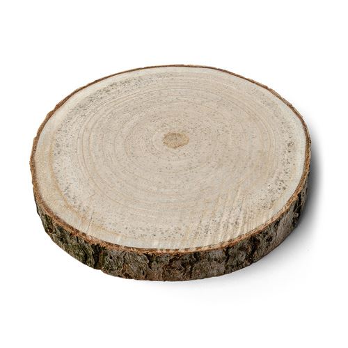 rondin de bois brut écorce naturel rond 20cmx2cm
