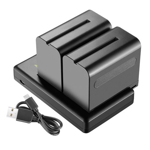 Neewer 2 Pièces 6600mAh Li-ion Batterie de Replacement avec USB Chargeur pour Sony NP-F550 570 750 770 970 960 975,Sony Handycams,NW CN160 CN-216 LED,NW 759 74K 760 Feelworld,759 74K 760 Moniteur