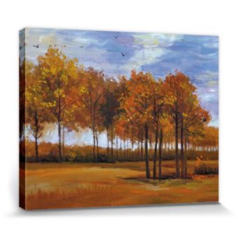 Vincent Van Gogh Poster Reproduction Sur Toile Tendue Sur Chassis Paysage D Automne 1885 40x50 Cm Autre Poster Top Prix Fnac