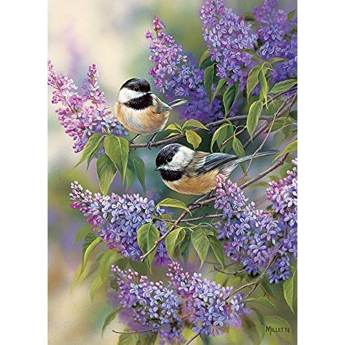Cobble Hill Chickadees and Lilacs
