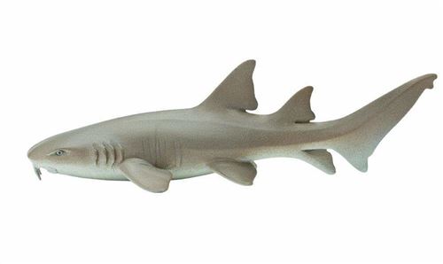 Safari créatures marines Requin nourrice junior 14 cm gris/blanc