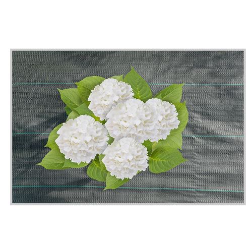 Fornord-Toile de paillage anti-racines 2,10 x 10 m