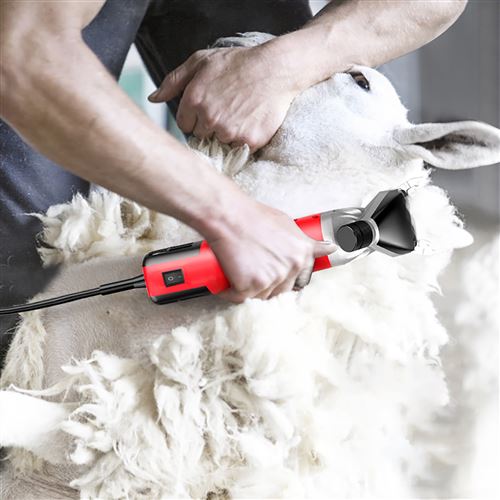 électrique moutons tondeuse à cheveux,Tondeuse à Moutons Électrique pour  Laine Mouton Chèvre Vitesse Réglable avec Huile de Lubrification Lame  Droite