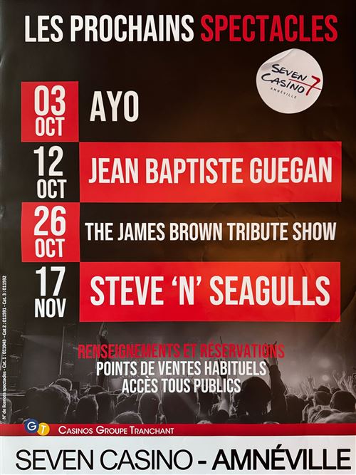 Affiche - Ayo - Steve 'n' Seagulls - Concerts 2024 - 60x84cm