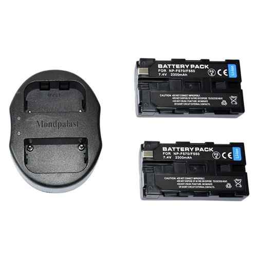 Batterie NPF550 F570 et Dual Chargeur pour Sony