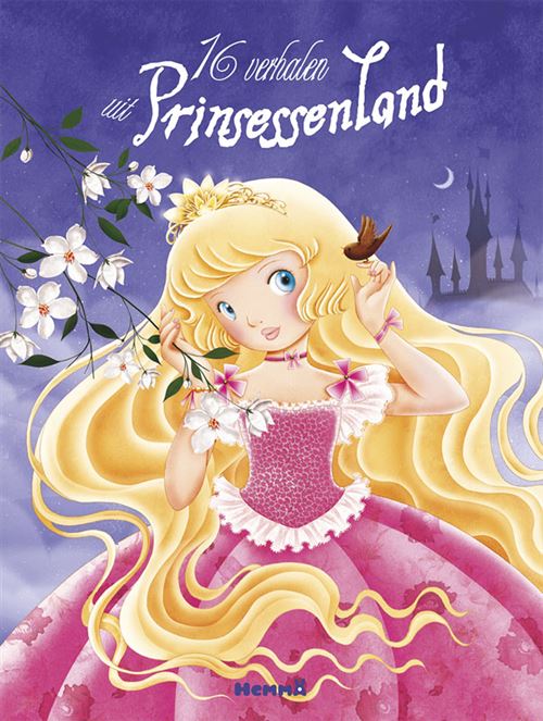 Hemma Livre De Princesse Luxe 16 Histoires
