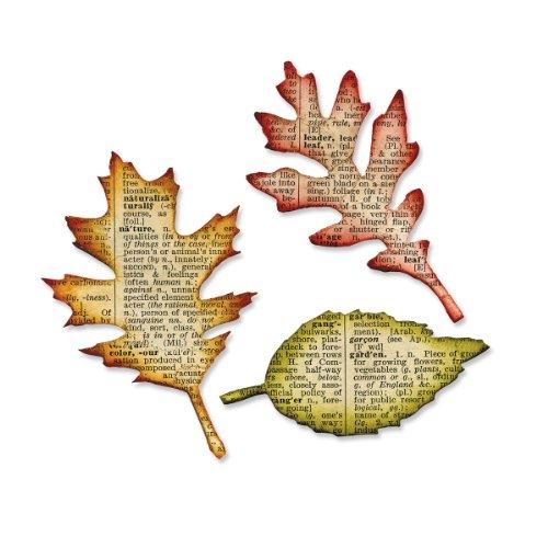 Sizzix 656927 matrice bigz scrapbook dessin feuilles dentelées de tim holtz 14 x 17,4 x 1,9 cm