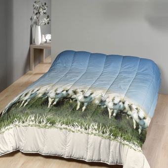 Couette Imprimee 240x260 Cm Chevaux Achat Prix Fnac