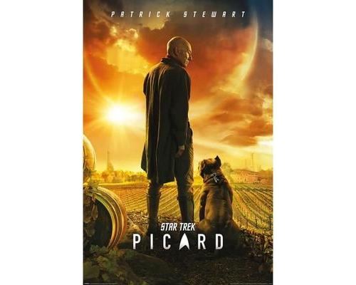 P.Derive STAR TREK - Poster 61X91 - Picard - Number One