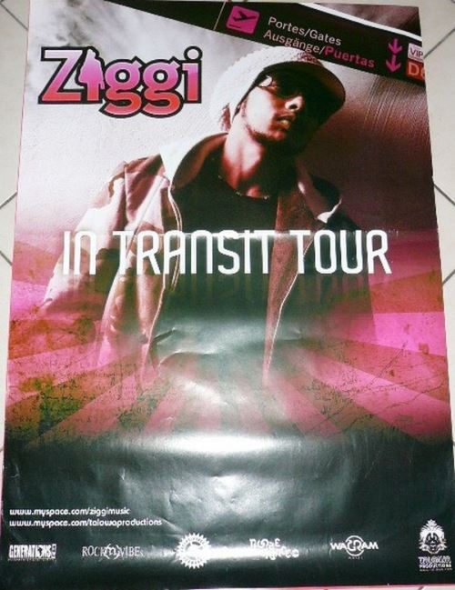 ZIGGY - 70x100 cm - AFFICHE / POSTER