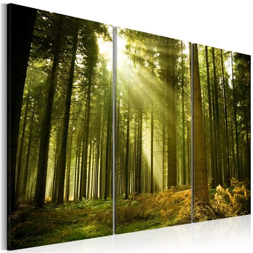 Tableau | Forêt | 120x80 | Paysages | Forêt | beauté de la Nature |