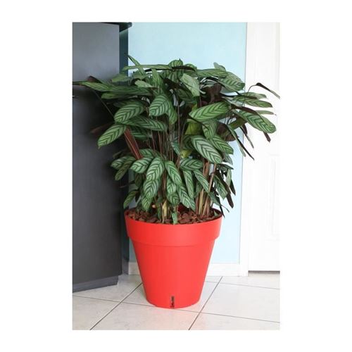 Riviera Rouge Pot De Fleurs Cylindrique - Image 2