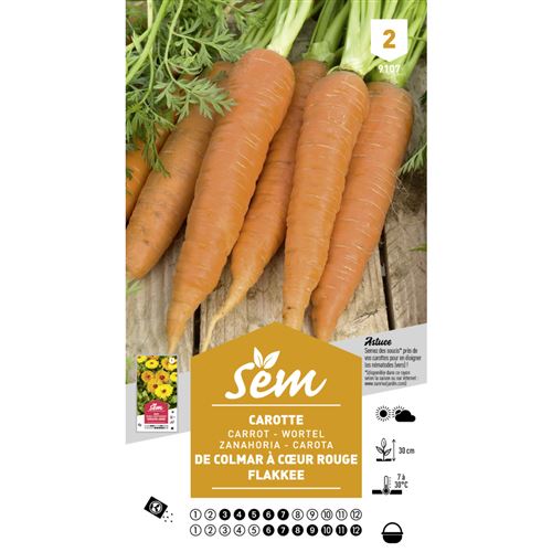 Sem - Graines potagères carotte Flakkee