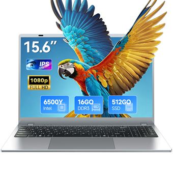 Ordinateur Portable 15.6 Pouces - Intel Pentium Gold 6500Y (3.4 GHz) - 16 Go RAM - 512 Go SSD - Windows 11 Pro - WiFi/BT - Argent - 1