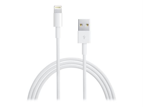 Ewent - Câble Lightning - USB mâle pour Lightning mâle - 1 m - pour Apple iPad/iPhone/iPod (Lightning)