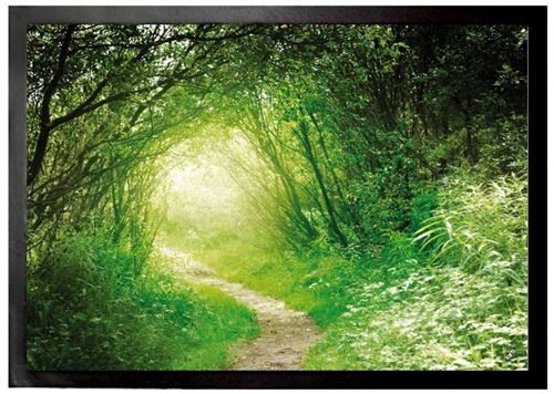 Forêts Paillasson Essuie-Pieds - Forêt Verte, Sentier Lumineux (70x50 cm)