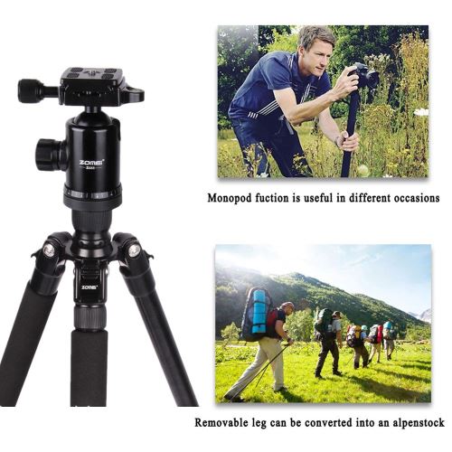Zomei Z688 trépied portable pour Canon DSLR caméra